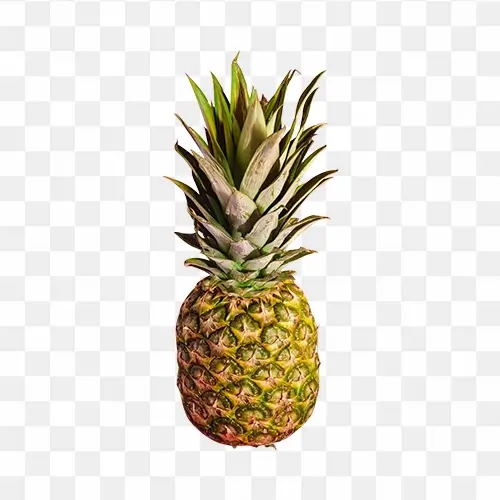 pineapple free png image
